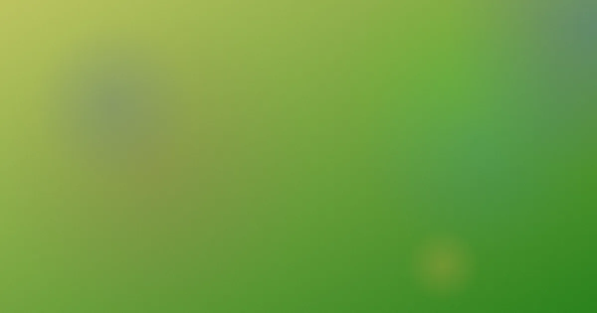 安东尼奥测评：五步避开看片误区